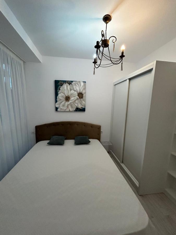 Studio Floreasca Residence 부쿠레슈티 외부 사진